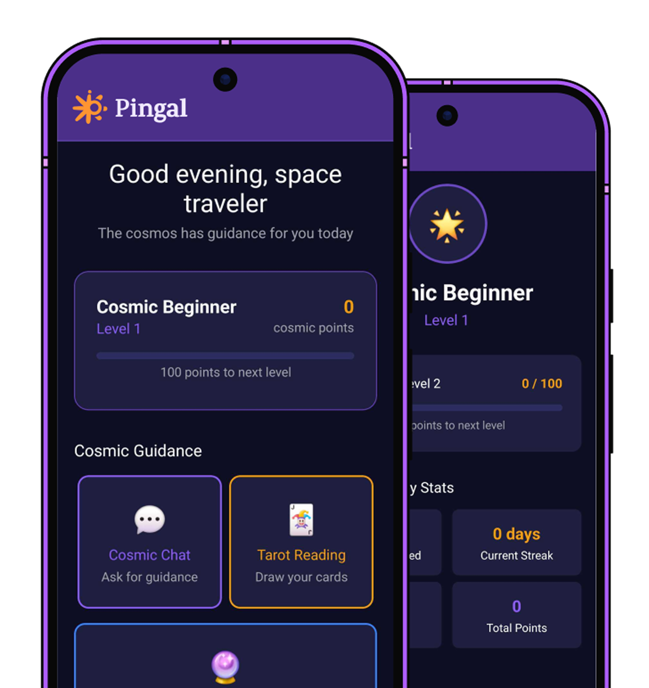 Pingal app screen 2